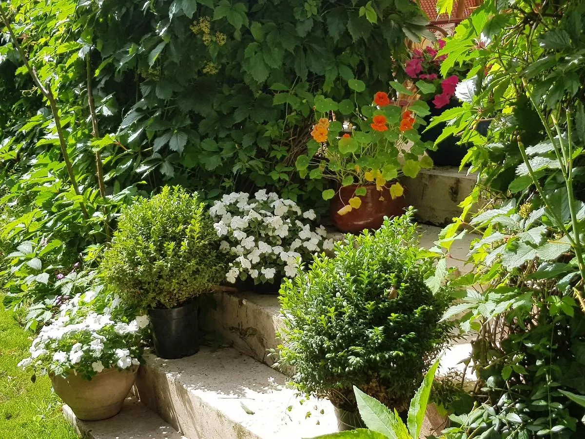 Les Tournesols Bed & Breakfast Mallemort