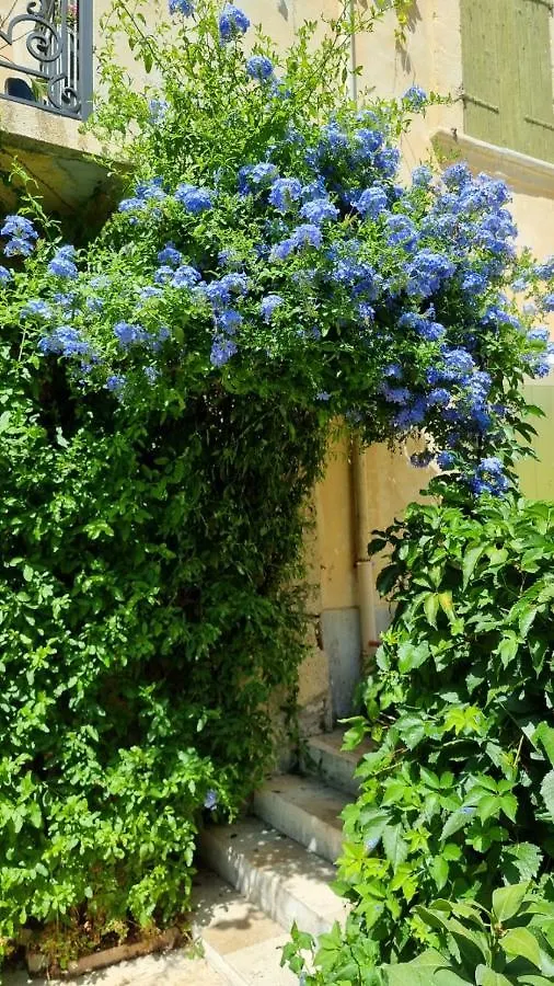 Les Tournesols Bed & Breakfast Mallemort 0*,  France